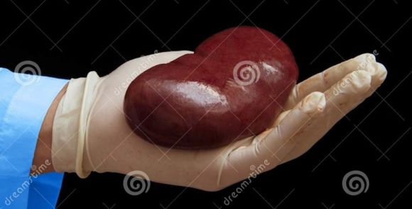 <<if only there were a kidney emoticon...)

 

 

