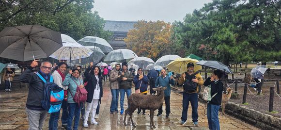 A sweet photo bombing by the dear.