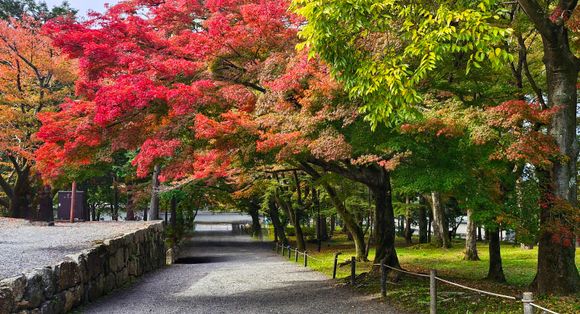 This was one of the best places for Autumn colours.
I had my appetite satiated on this day itself. I like to see multiple colours woth green rather than only orange and crimson