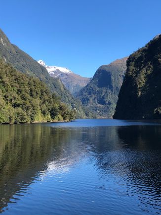 Doubtful Sound reflection is gorgeous 