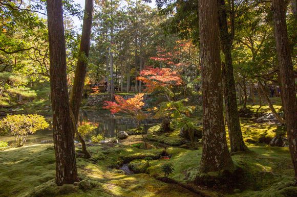 Kokedera Moss Temple