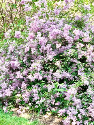 NJ Botanical Gardens