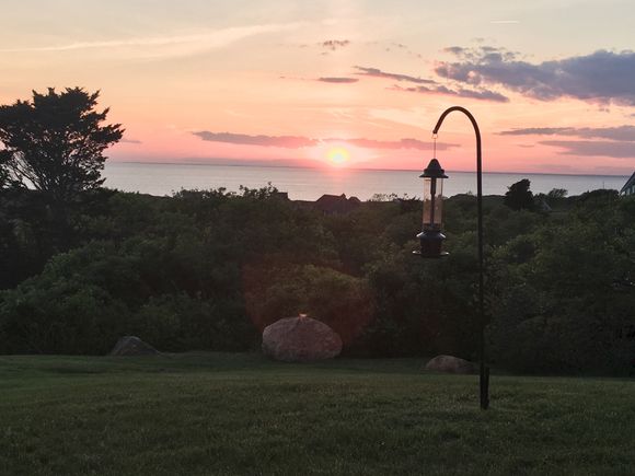 Sunset off the porch - sorry just from an old iPhone. Mr. Gruezi got my bird friends a new feeder. It’s been a perfect weekend weatherwise. Milk and honey. 