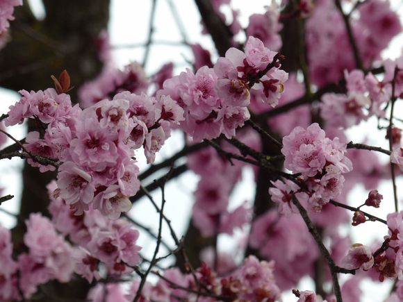 Spring is around the corner