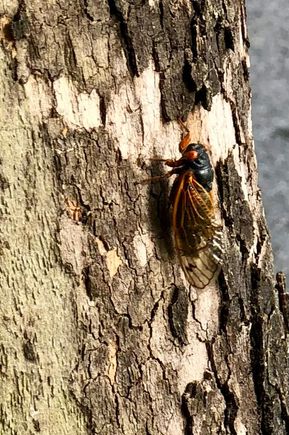 Darn, I’ll have to throw these beauties out