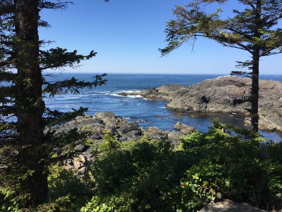 Ucluelet hike