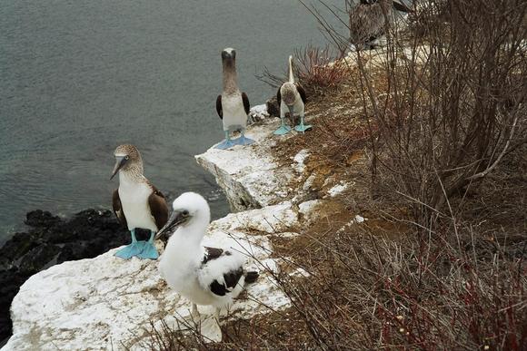 These can only be in one place. Did 8 day visit here to see all the Islands