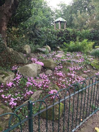 More St Stephen’s Green 