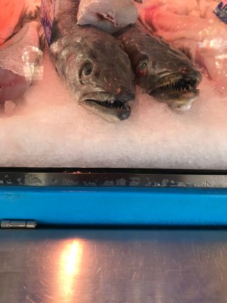 Friends we met in the market