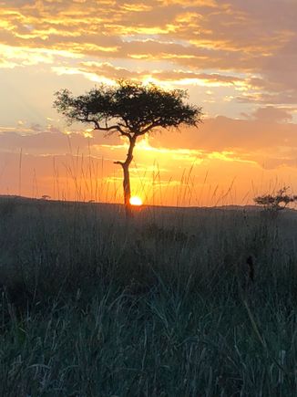 Serengeti sunset