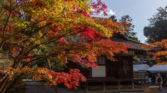 Sekizan-zen-in temple