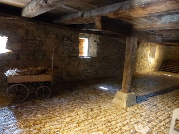 Animals housed on bottom floor of house