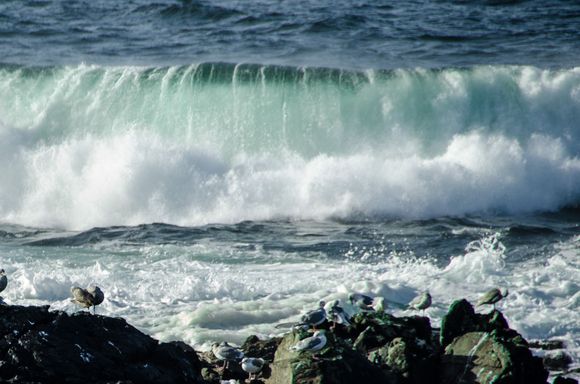 The full fury of Neptune.