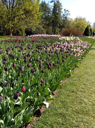 Last year at Longwood