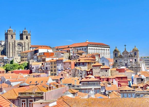 View from Rooftop Flores