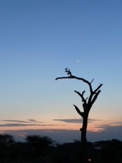 Look at the sliver of the moon. In North America, we see the side. Love that the moon looked like it was smiling!
