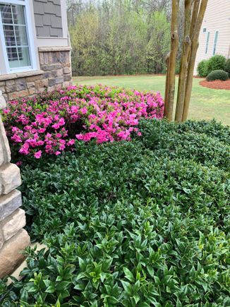 
But the pink ones are a close second!

