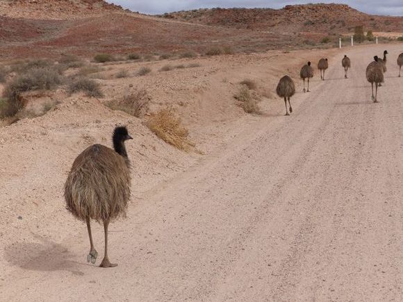 Locals out for a stroll