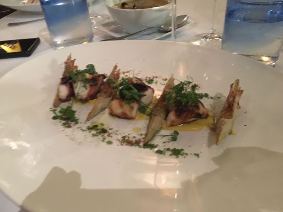 Octopus from Zinotti