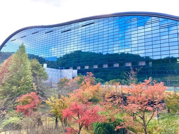 The beginning of fall colors outside the National Museum 