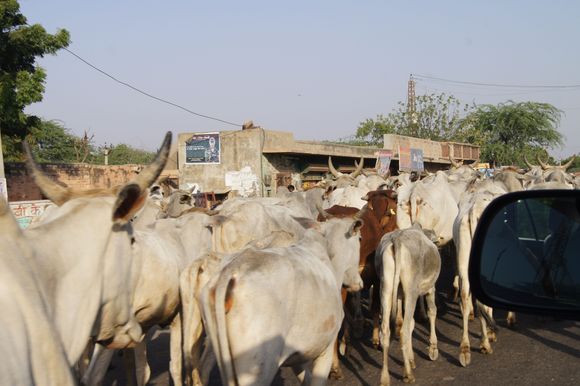 The traffic is awful