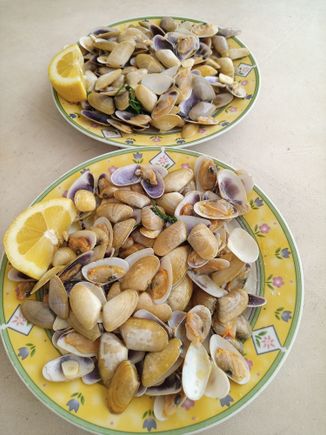 Conquilhas, clams from the Algarve. They have a mild flavor 