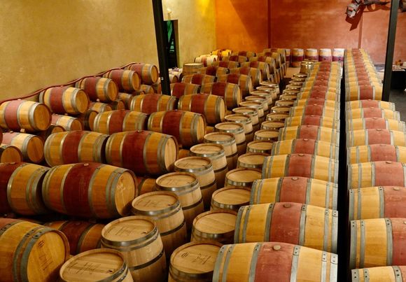 Wine cellar