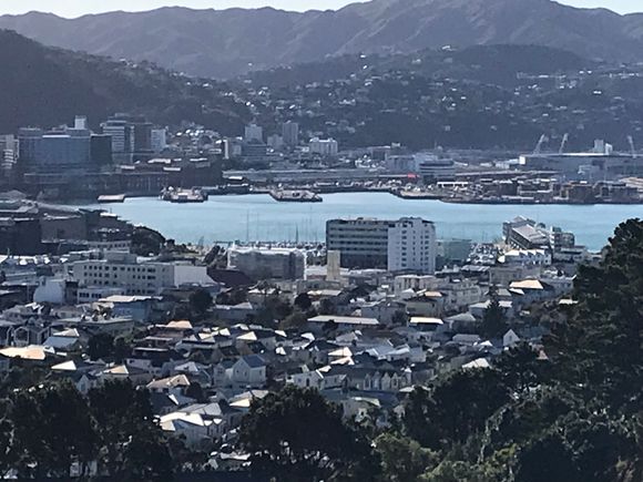 View of Wellington from soccer ground.