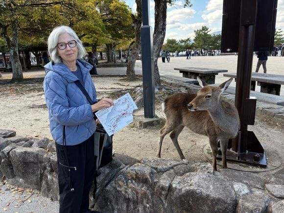 No sooner had I unfolded this map before this deer snuck up and took a bite right out of it!