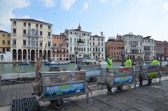 And they *do* keep Venice clean!