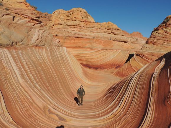 The Wave