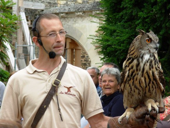 The falconry show at Les Milandes