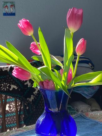 Happy May Day everyone