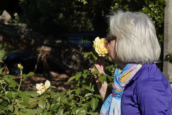  Sometimes you got to smell the roses. 