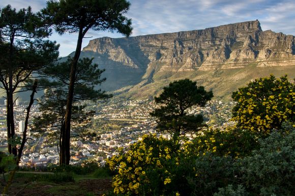 Table Mountain, Cape Town, South Africa 