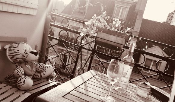 Enjoying the rooftops in the Marais
