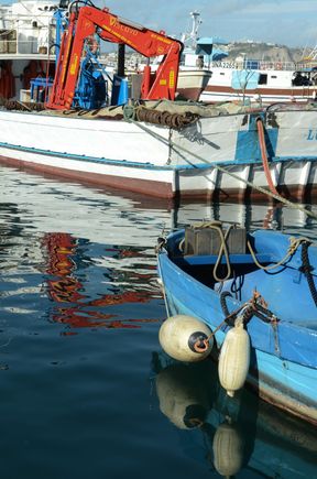 We left Corricella and descended back down to the main town Marina Grande and its Porto ferry. We just missed one boat so hung around this area for a while. It too had its own appeal, including 'Dal Cavaliere' Bar (1960), famed for its pair of traditional puff pastries: la Lingua and la Frollicella. Each lemon custard pastry had its own dedicated postcard, both colorful and tasteful. The lineup was insane and we waited a very very long time! But after the crowds died down: VG people-watching.