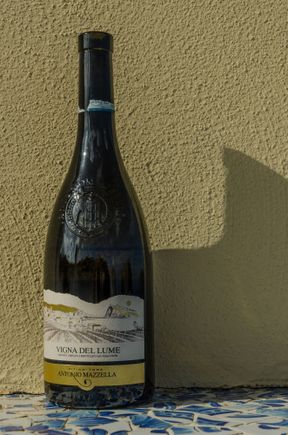 Their advice about local wine was bang-on. The Romans called Ischia 'Aenaria'---the land of wine. Hence the oh-so clever name of the local bookstore 'Imagaenaria'. Readers will love that shop for its mom-and-pop feel. Above was the straw-colored award-winning white wine that the Contes highly recommended. They were right!!  The white wine grapes grown on the volcanic slopes of Mt. Epomeo are the 'Biancolella' variety.