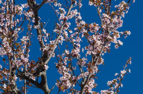 Never trust anyone who does not enjoy a stroll through lovely nature.