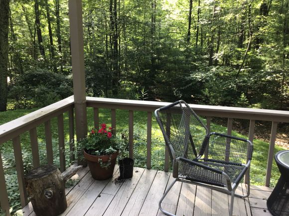 Lovely, relaxing mornings at our cabin.