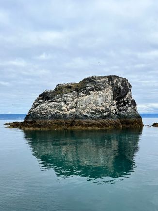One of the islands by Gull Island. Every nook in the rock is a bird, as well as on top of the rock