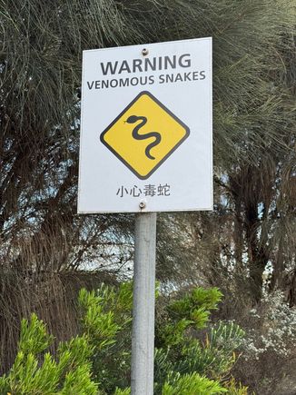 We frequently saw these signs along the Great Ocean Road. I didn't know until I started planning our trip that Australia has some of the most venomous snakes!