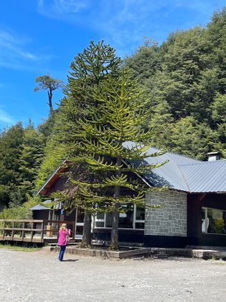 At the boarder between Argentina and Chile-Nahuel Huapi National Park