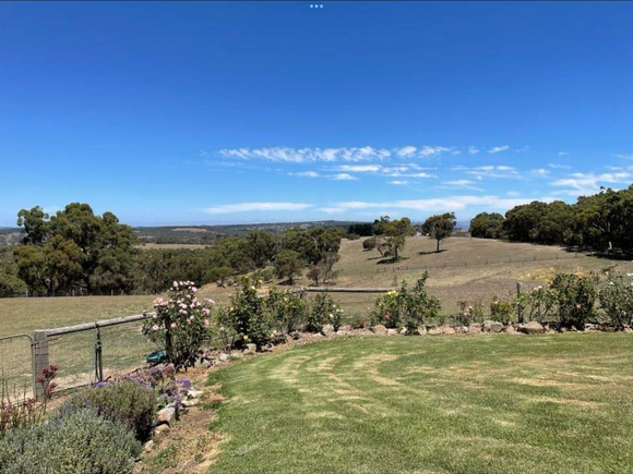 Farm views