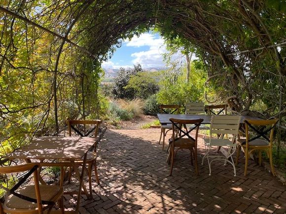 Wisteria arbor where we had our bubbles and cheese plate