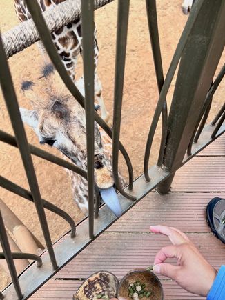 This little guy had a huge appetite!