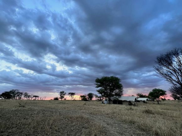 Sunset view from Serengeti Under Canvas