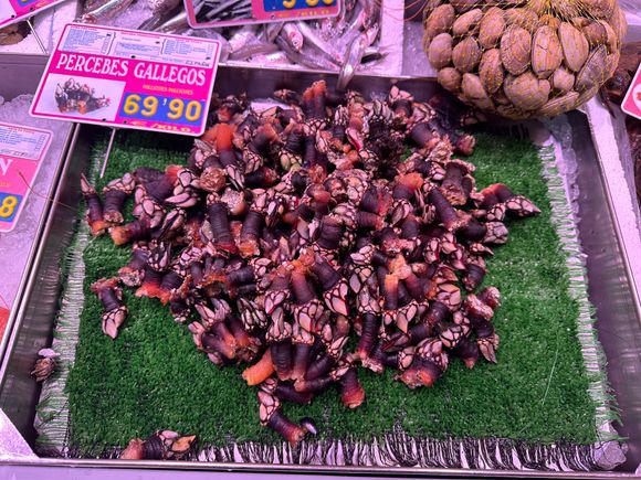 The legendary Percebes from the north coast/Galicia!!
Even at that price, one vendor had sold out before noon!
