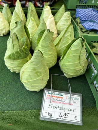 Unusually shaped cabbage