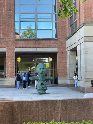 The University library 